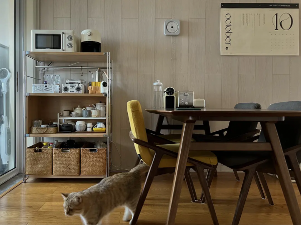 分享3貓2人住了五年滿當當的家 分享3貓2人住了五年滿當當的家