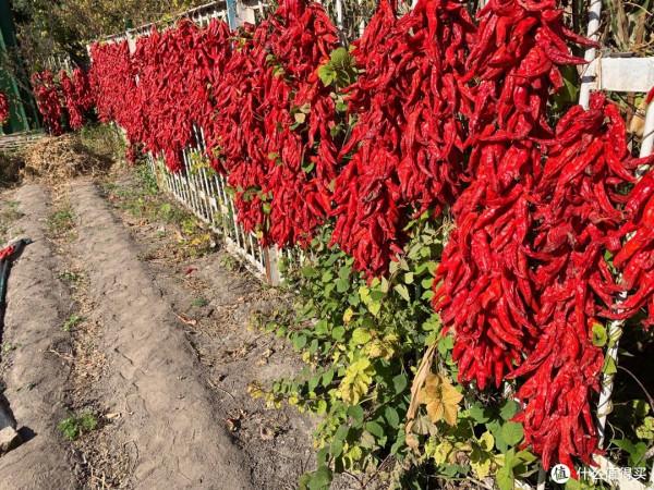 東北331國道邊境自駕遊（上）：走，帶你去看大美邊境