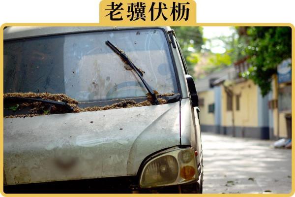 30萬的車，為什麼還不如4、5萬的麵包車耐用？