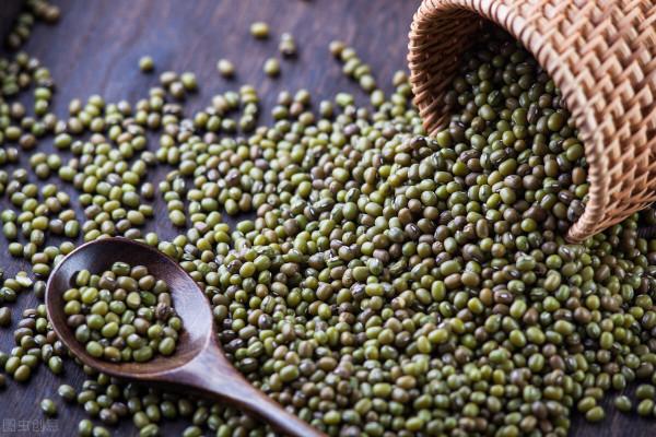 買綠豆時，選褶皺的還是光滑的？記住3點，選到好綠豆
