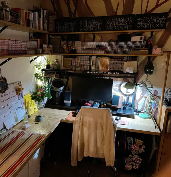 家裡有片雨林是什麼樣的體驗？帶你走進我的室內花園