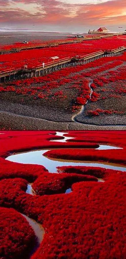 令人驚歎的大自然奇景&mdash;&mdash;值得一看