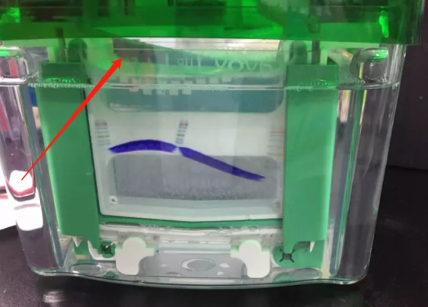 天能VE-586丨Western Blot蛋白免疫印跡常見問題