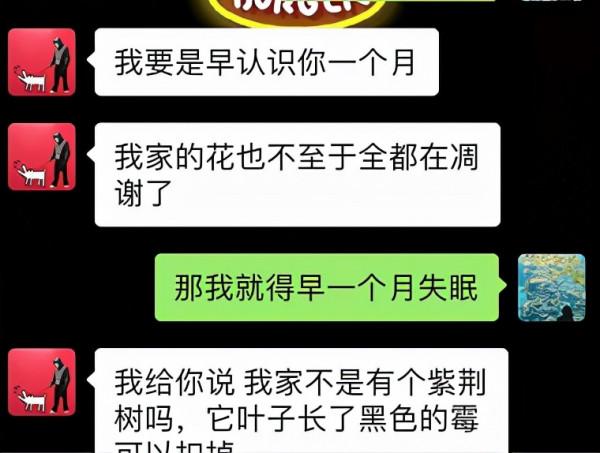「皮皮太皮」養不好系列:多肉水了,葉片掉了,枝幹枯了,錯哪了 「皮皮太皮」養不好系列:多肉水了,葉片掉了,枝幹枯了,錯哪了