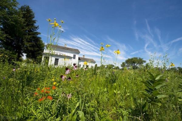 圖片分享一一乎倫貝爾大草原美景