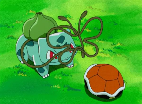 「皮皮太皮」養不好系列:多肉水了,葉片掉了,枝幹枯了,錯哪了 「皮皮太皮」養不好系列:多肉水了,葉片掉了,枝幹枯了,錯哪了