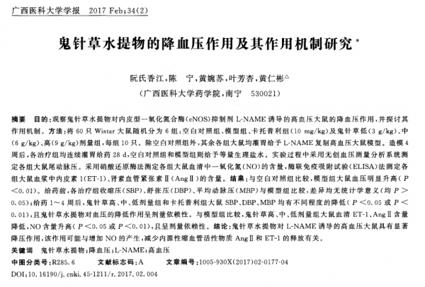 鄉下常見的中藥：鬼針草，可清熱散瘀，泡水喝，治高血壓效果很好