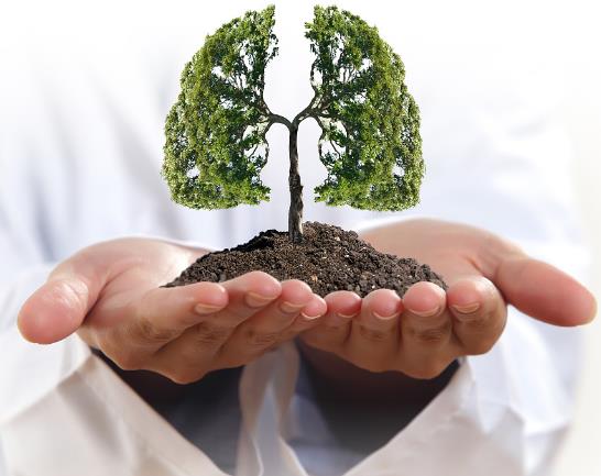 低熱、胸悶、咳嗽、咯痰,小小方子起良效,輕鬆解決肺結節 低熱、胸悶、咳嗽、咯痰,小小方子起良效,輕鬆解決肺結節