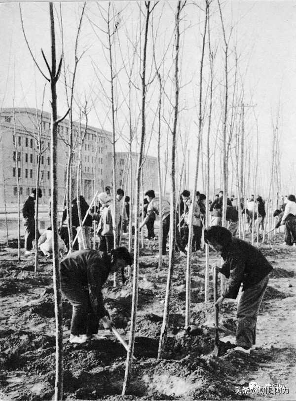 五十年代催人奮進的老照片：毛主席來到十三陵水庫參加義務勞動