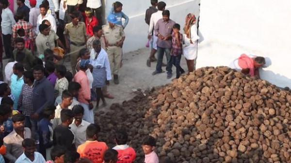 印度牛糞餅一盒賣到205元,經常賣到脫銷,究竟有什麼用處? 印度牛糞餅一盒賣到205元,經常賣到脫銷,究竟有什麼用處?