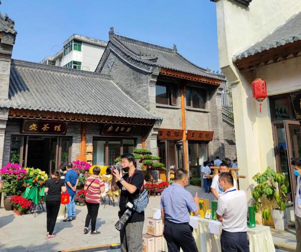 家庭餵養寵物犬的利與弊