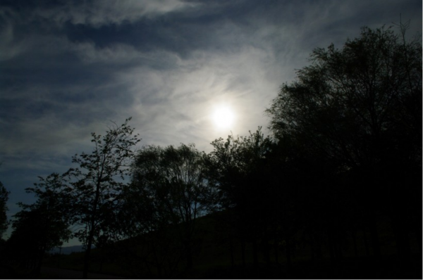 一身傲骨的這些星座,雖然天生驕傲,但絕不容忍失敗 一身傲骨的這些星座,雖然天生驕傲,但絕不容忍失敗