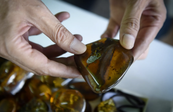 一項研究發現殖民主義仍然影響著今天的地球科學