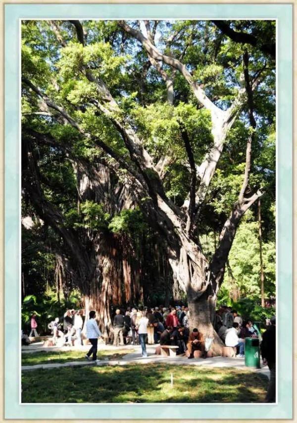 中央公園，廣州人仍然習慣這樣叫（葉曙明）