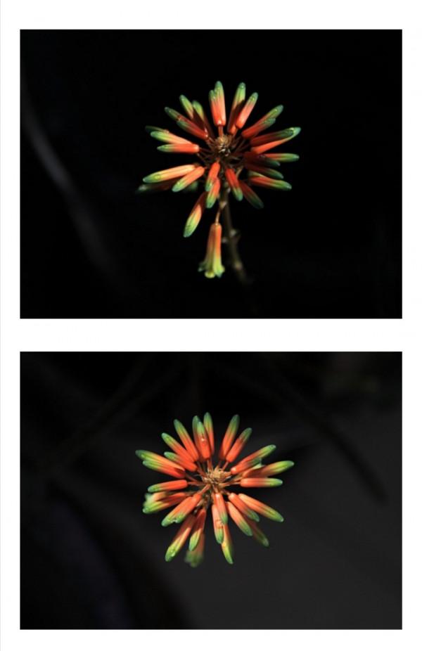 今天我特想唯心一次了