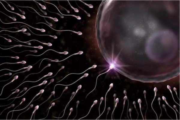 300億元超級大市場!每年約30萬名試管嬰兒誕生,費用10萬元起? 300億元超級大市場!每年約30萬名試管嬰兒誕生,費用10萬元起?