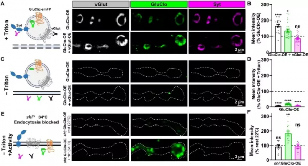 腦科學日報:容易衝動?新的測試可以預測衝動是否是病態的 腦科學日報:容易衝動?新的測試可以預測衝動是否是病態的