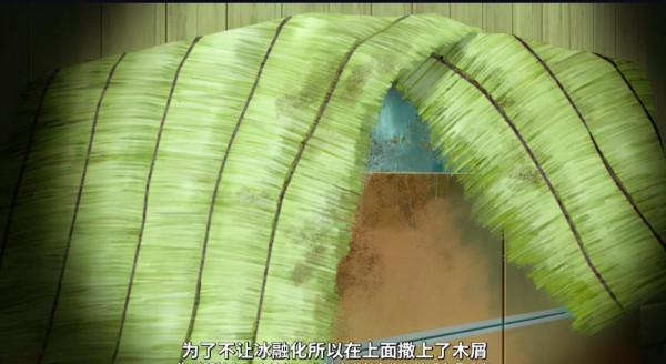 一張照片引發的慘案,柯南中的塑膠姐妹花 一張照片引發的慘案,柯南中的塑膠姐妹花