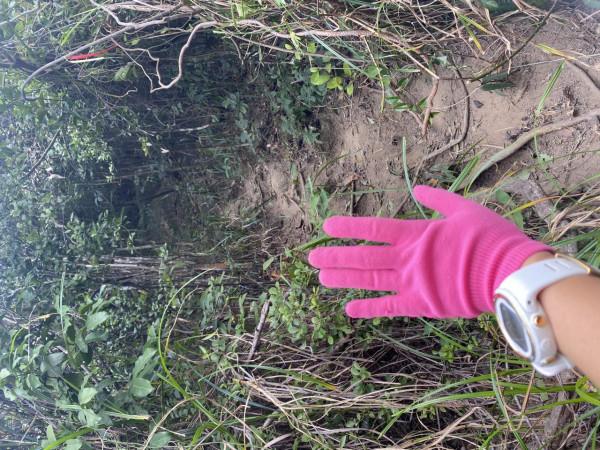 探險香港陽元石，路途崎嶇比較危險，需要資深的行山人士帶路