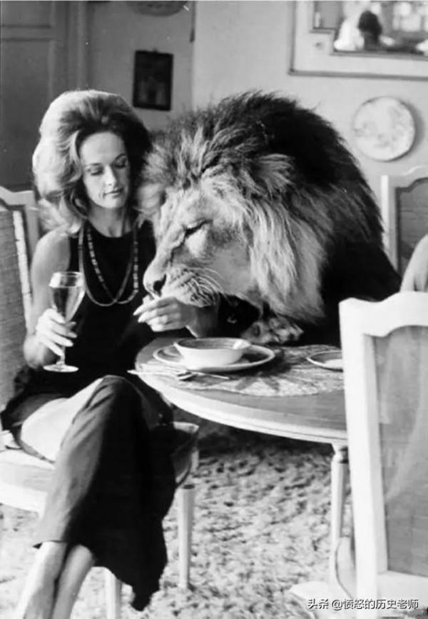 珍貴老照片：給人夾菜的周總理、肯尼迪被殺瞬間、和獅子共進晚餐