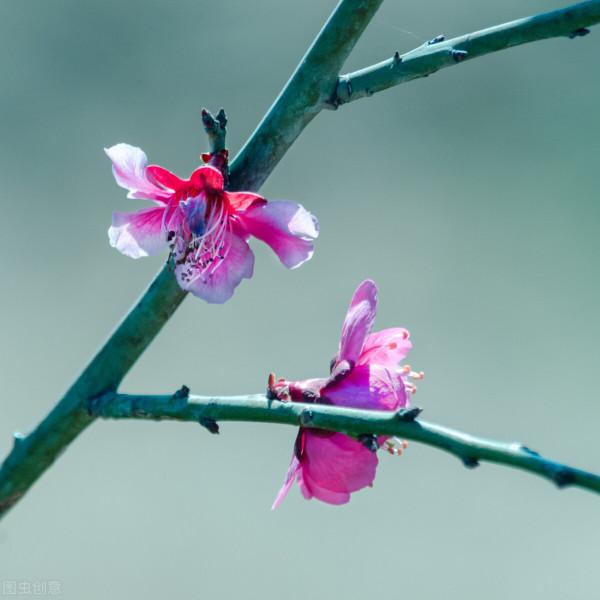 “有理的”不一定是好詩,“無理的”未必不是好詩 “有理的”不一定是好詩,“無理的”未必不是好詩