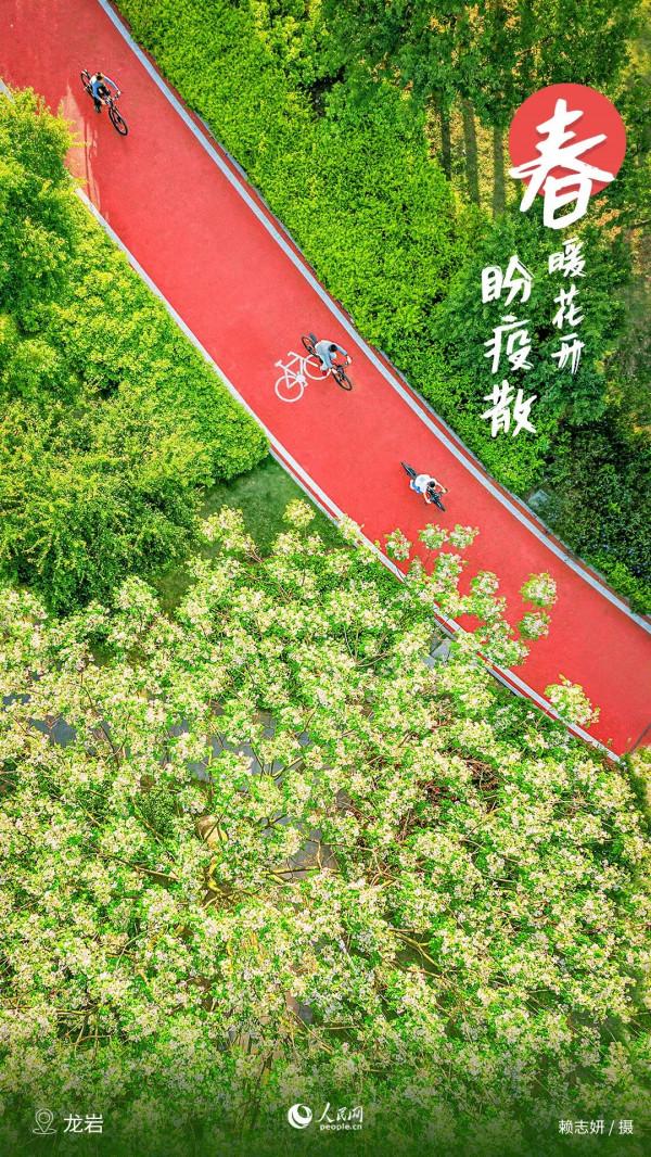 春風過處，草也青青，木也欣欣！福建的春天美醉了……