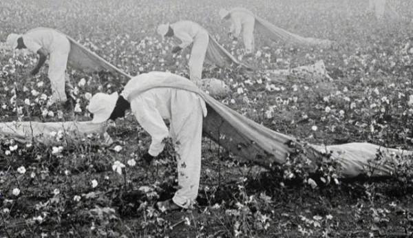 為什麼一些歐美國家總有黑人暴亂？那是他們自作自受，活該