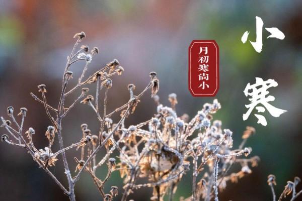 明日小寒,別忘了“燉3肉、煲3湯、熬3粥”,天寒了,早吃早受益 明日小寒,別忘了“燉3肉、煲3湯、熬3粥”,天寒了,早吃早受益