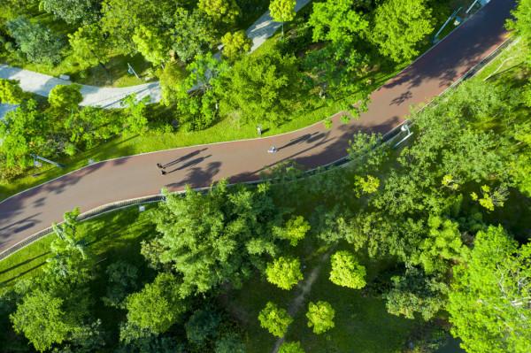 戶外跑:選擇合適的跑步路面,要比裝備更重要 戶外跑:選擇合適的跑步路面,要比裝備更重要