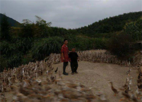 他身高1米2,結婚後幫2個弟弟娶媳婦,今一家10口住別墅不分家 他身高1米2,結婚後幫2個弟弟娶媳婦,今一家10口住別墅不分家