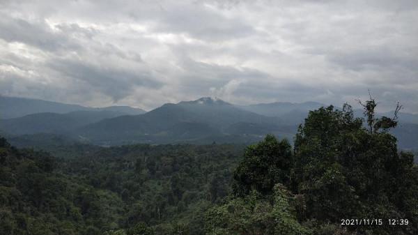 觀鳥兩年——每日期待著與鳥兒的邂逅，踏上了追逐鳥兒的征程