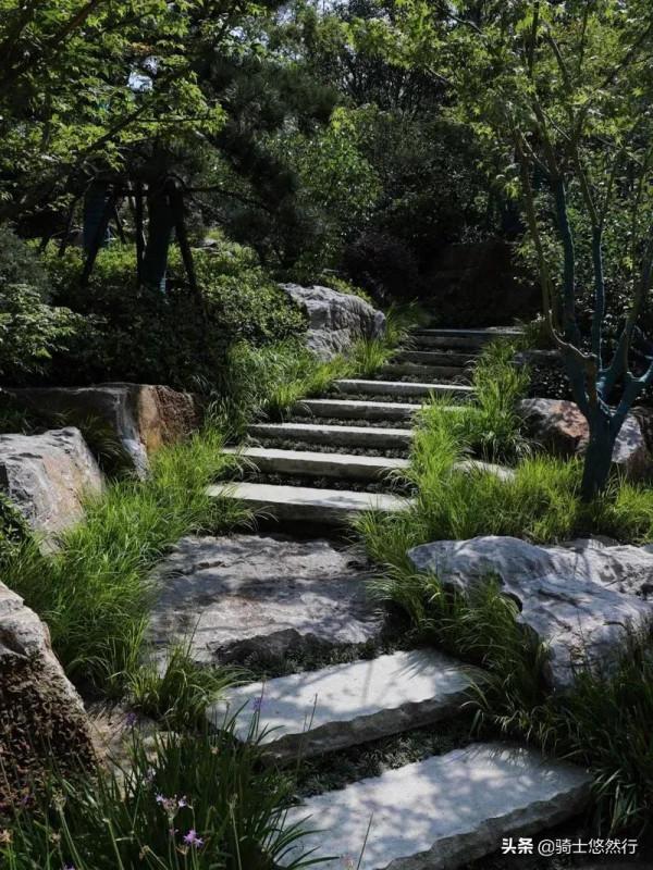 明智的活法:活在自己所在的層次裡 明智的活法:活在自己所在的層次裡