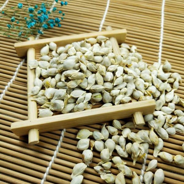 吃完的果核不要丟,入藥有這些療效 吃完的果核不要丟,入藥有這些療效