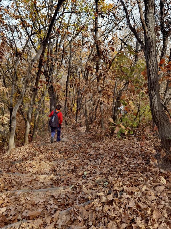 桃源仙谷—京北雲蒙山邊緣的一景