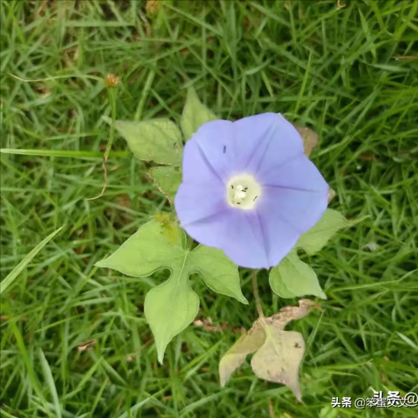 獨處是自我的豐富(二) 獨處是自我的豐富(二)