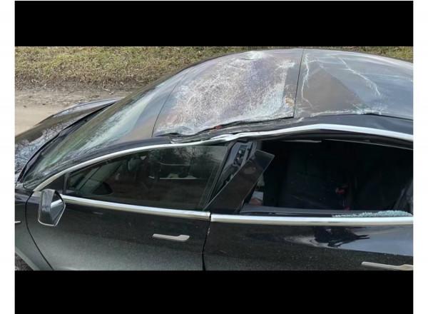 贊！加拿大男子開特斯拉參加婚禮被樹砸，新婚夫婦奇蹟般沒受傷