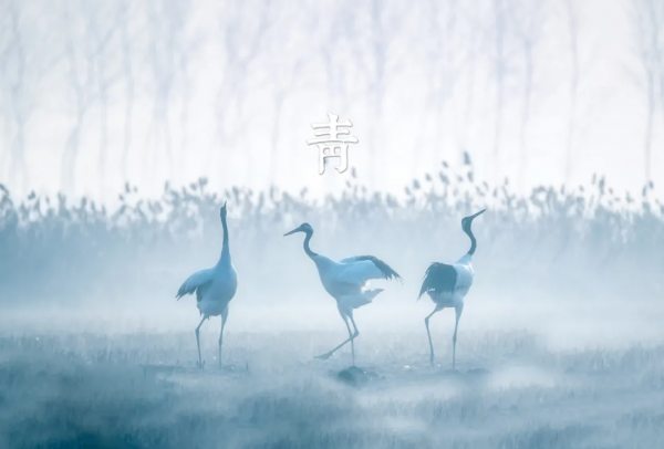 秋冬最美的風景,都在這7種世間美色裡 秋冬最美的風景,都在這7種世間美色裡