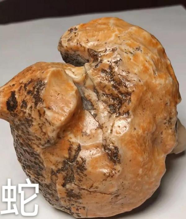 大自然的鬼斧神工，天造奇術，我們無法想象如此模樣，十二屬相