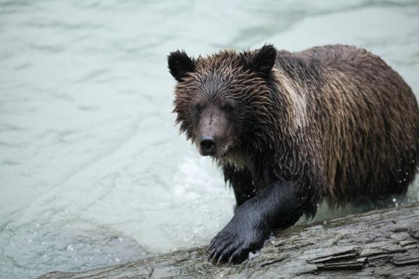 臥的什麼薪?嘗的什麼膽? 臥的什麼薪?嘗的什麼膽?