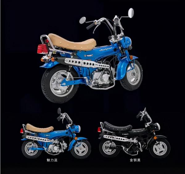 本田長頸鹿買不到，金城小金鹿或許是退而求其次的選擇