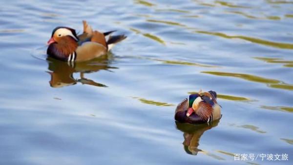 江北~隱藏著你嚮往的詩和遠方... 江北~隱藏著你嚮往的詩和遠方...