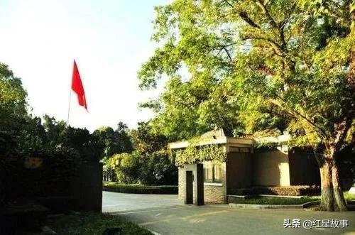 酒杯裡的初心／寫給軍人父親