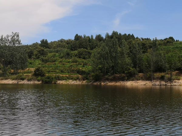 魚的基本習性（2）：趨溫性對垂釣的影響