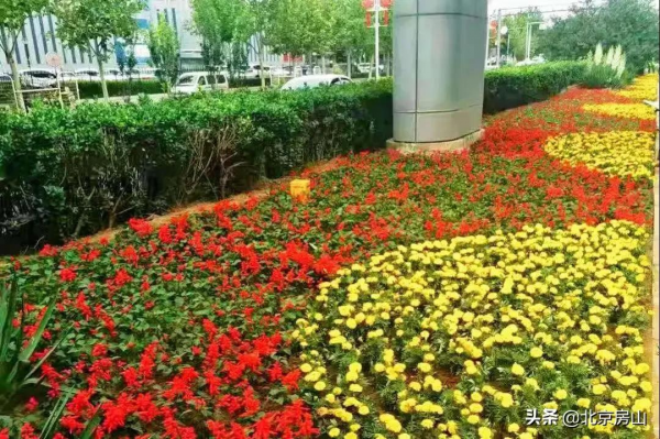 國慶遊房山（一）：花團錦簇 祝福祖國