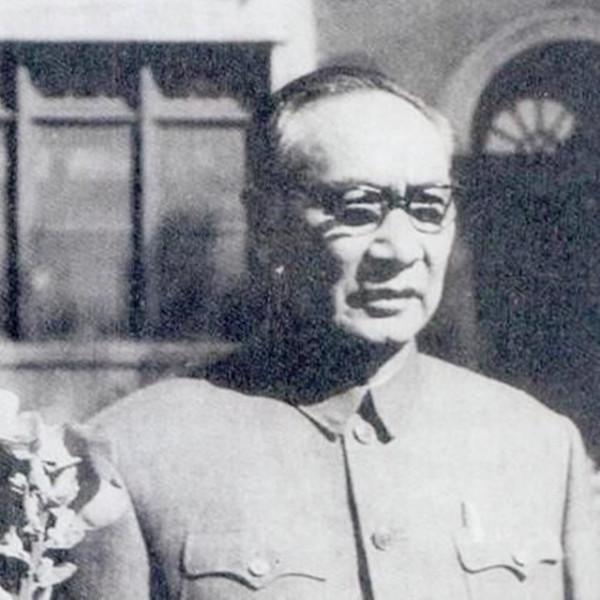 臺兒莊戰役我軍密碼屢遭破譯，改用白族方言當密碼，把日軍整蒙了