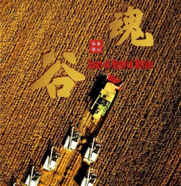 雜交水稻之父是袁隆平,雜交穀子之父是誰?他把谷產量提升了一倍 雜交水稻之父是袁隆平,雜交穀子之父是誰?他把谷產量提升了一倍