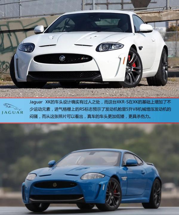 溫故知新,來自英倫島的大靈貓 溫故知新,來自英倫島的大靈貓