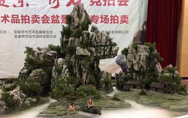 高價成交的66方奇石欣賞