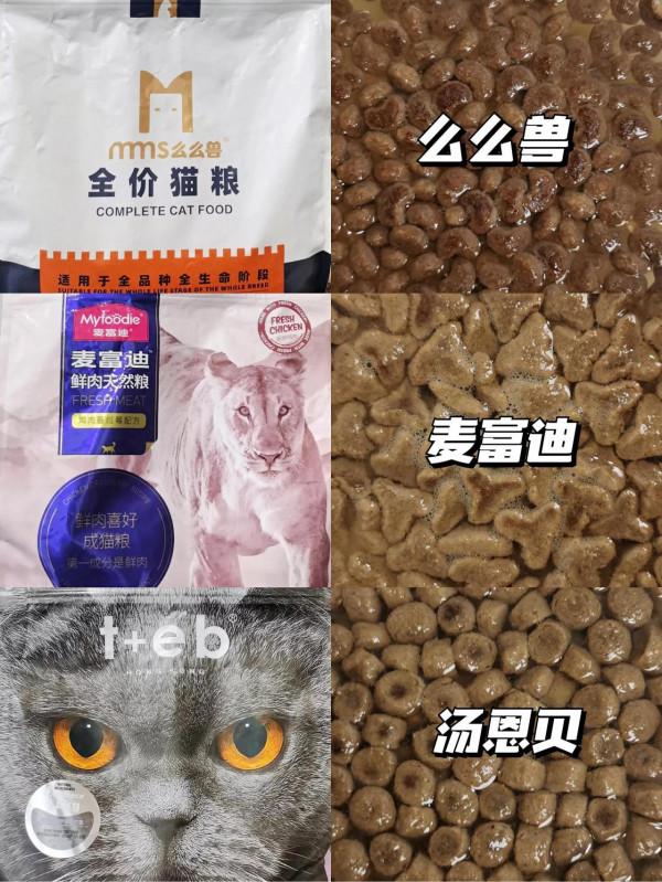 冷水泡糧辨別貓糧好壞