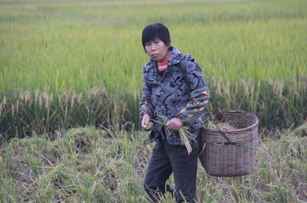 轉親或者換親，一種特殊的姻親方式